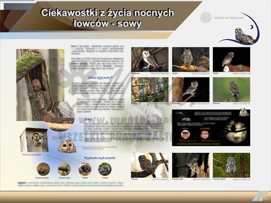 Tablica edukacyjna "Ciekawostki z życia nocnych łowców - sowy"