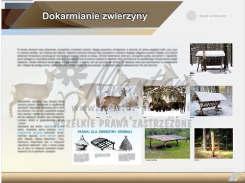 Tablica edukacyjna "Dokarmianie zwierzyny"