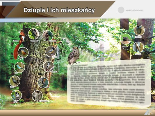Tablica edukacyjna "Dziuple i ich mieszkańcy"