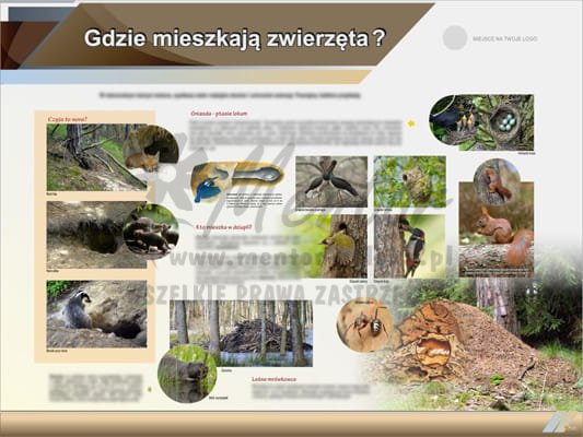 Tablica edukacyjna "Gdzie mieszkają zwierzęta?"