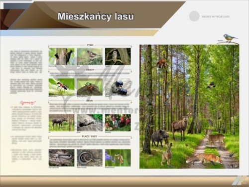 Tablica edukacyjna "Mieszkańcy lasu"