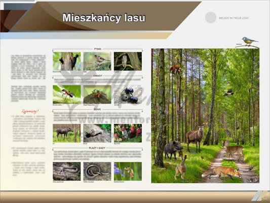Tablica edukacyjna "Mieszkańcy lasu"