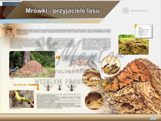 Tablica edukacyjna "Mrówki - przyjaciele lasu"