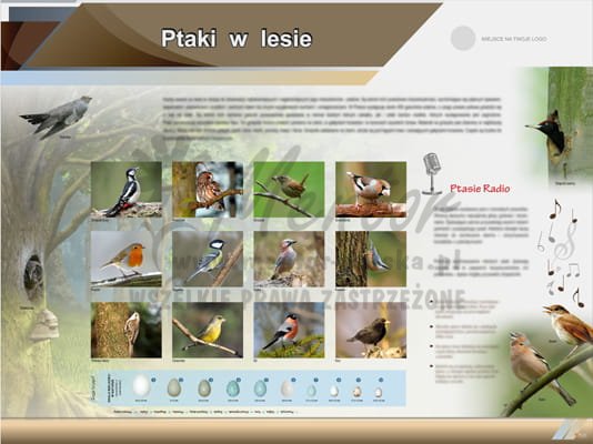Tablica edukacyjna "Ptaki w lesie"