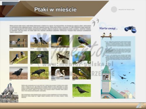 Tablica edukacyjna "Ptaki w mieście"