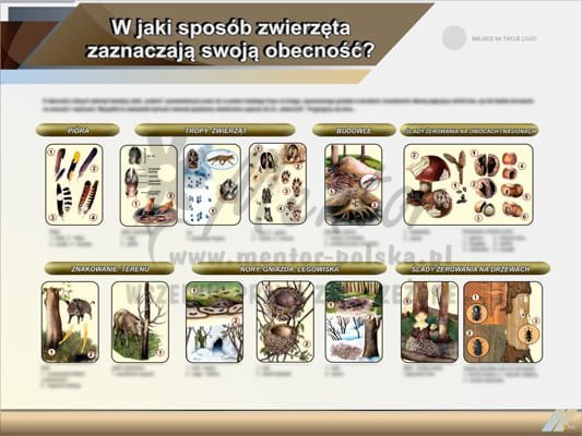 Tablica edukacyjna "W jaki sposób zwierzęta zaznaczają swoją obecność?"