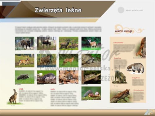 Tablica edukacyjna "Zwierzęta leśne"