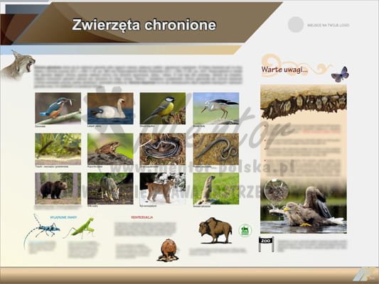 Tablica edukacyjna "Zwierzęta chronione"