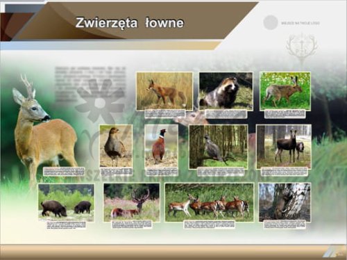 Tablica edukacyjna "Zwierzęta łowne"
