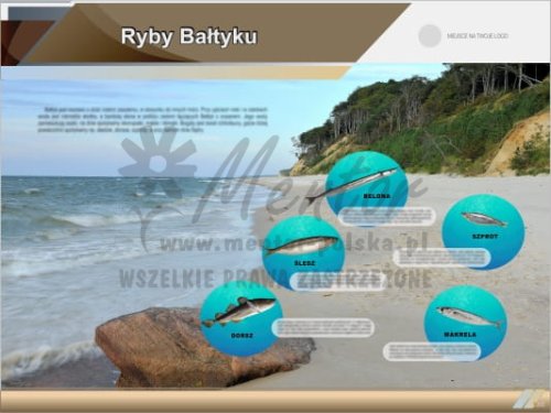 Tablica edukacyjna "Ryby Bałtyku"
