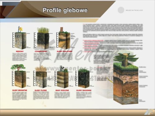 Tablica edukacyjna "Profile glebowe"