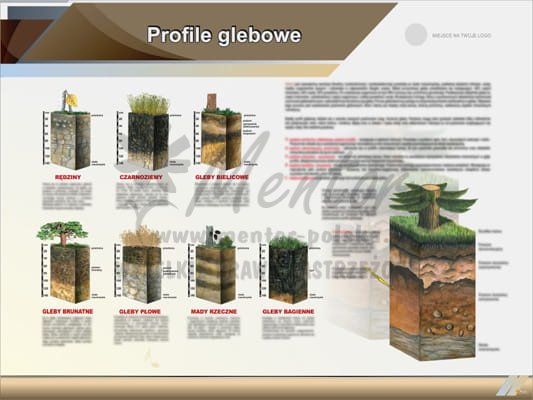 Tablica edukacyjna "Profile glebowe"