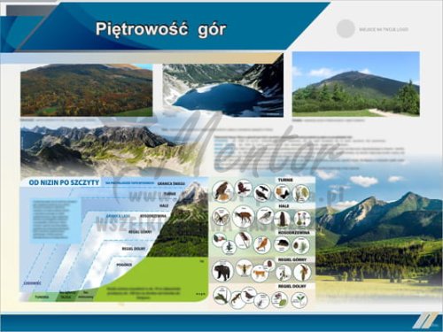 Tablica edukacyjna "Piętrowość gór"