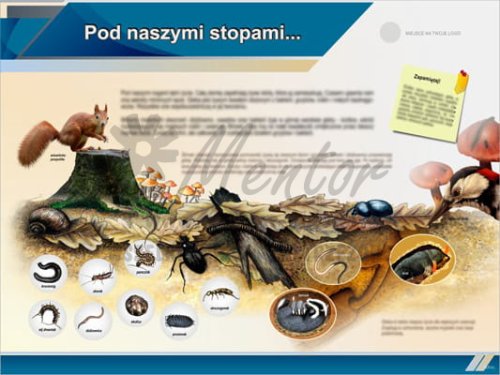 Tablica edukacyjna "Pod naszymi stopami"