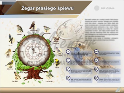 Tablica edukacyjna "Zegar ptasiego śpiewu"