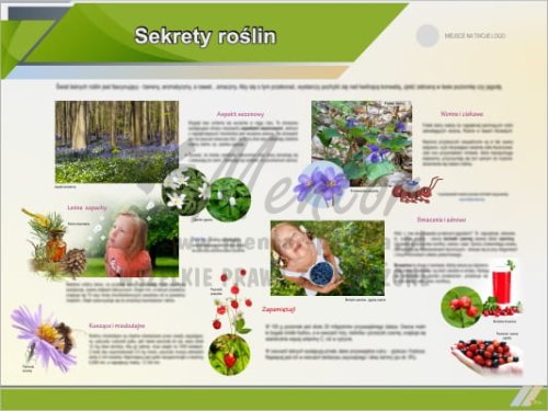Tablica edukacyjna "Sekrety roślin"