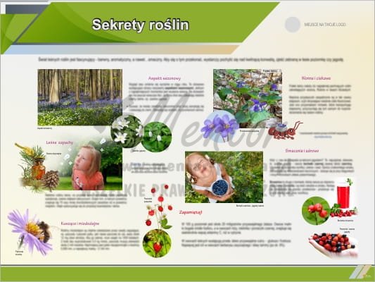 Tablica edukacyjna "Sekrety roślin"
