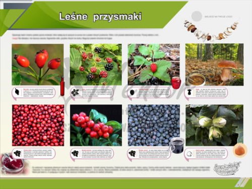 Tablica edukacyjna "Leśne przysmaki"