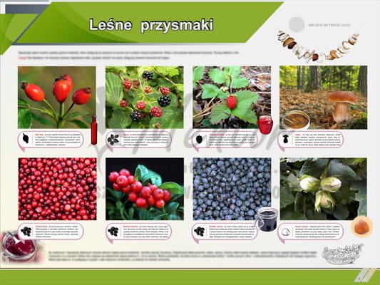 Tablica edukacyjna "Leśne przysmaki"