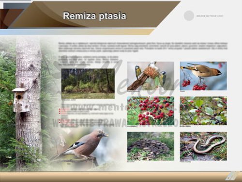 Tablica edukacyjna "Remiza ptasia"