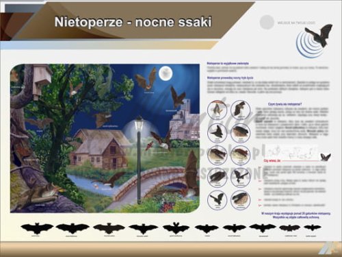 NIETOPERZE koniec.jpg