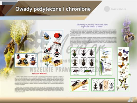 Tablica edukacyjna "Owady pożyteczne i chronione"