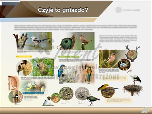 Tablica edukacyjna "Czyje to gniazdo?"