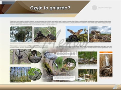 Tablica edukacyjna "Czyje to gniazdo?" II