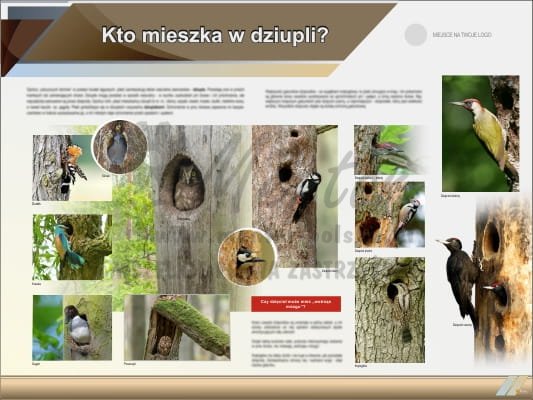 Tablica edukacyjna "Kto mieszka w dziupli?"