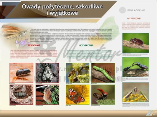 Tablica edukacyjna "Owady pożyteczne i wyjątkowe"