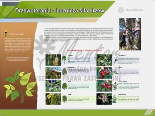 Tablica edukacyjna "Drzewoterapia – "Lecznicza siła drzew"