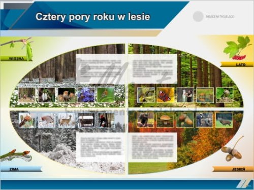 Tablica edukacyjna "Cztery pory roku w lesie"