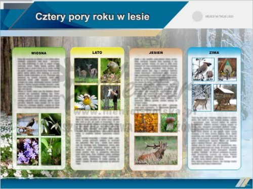 Tablica edukacyjna "Cztery pory roku w lesie" II