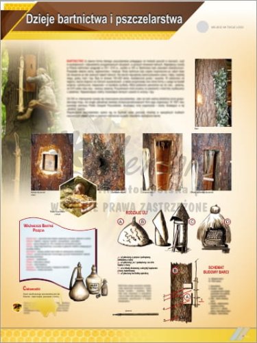 Tablica edukacyjna pszczelarska  "Dzieje bartnictwa i pszczelarstwa"