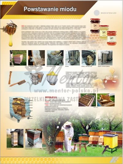 Tablica edukacyjna pszczelarska "Powstawanie miodu"