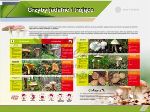 Tablica edukacyjna "Grzyby jadalne i trujące"
