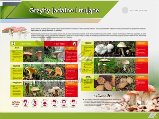 Tablica edukacyjna "Grzyby jadalne i trujące"