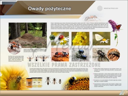 Tablica edukacyjna "Owady pożyteczne"