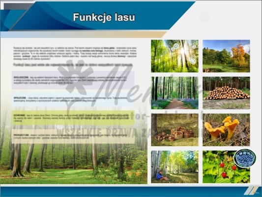 Tablica edukacyjna "Funkcje lasu"