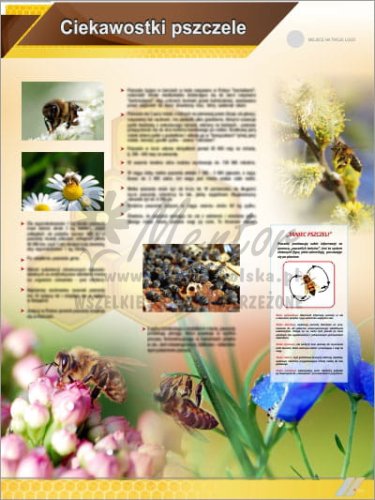 Tablica edukacyjna pszczelarska "Ciekawostki pszczele"