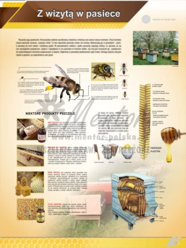 Tablica edukacyjna pszczelarska "Z wizytą w pasiece"
