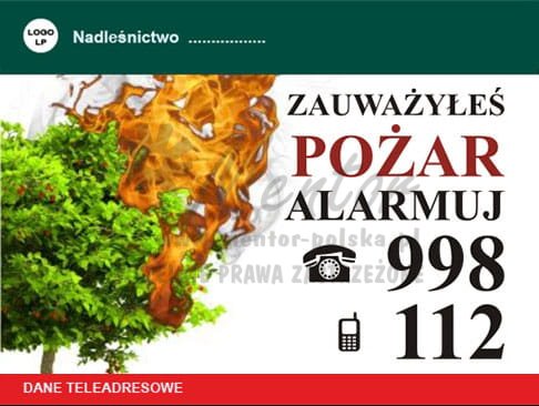 PP30_tablica-zauważyłeś-pożar-alarmuj-białe-tło-pp30_1.jpg