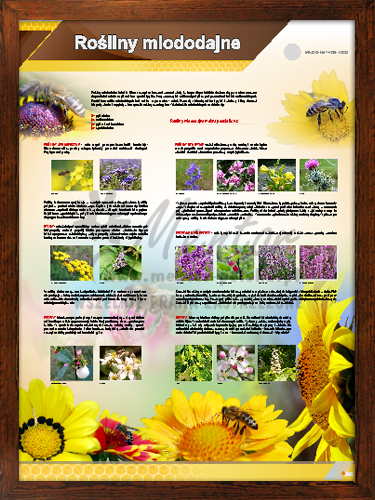 Tablica pszczelarska "Rośliny miododajne" w ramce