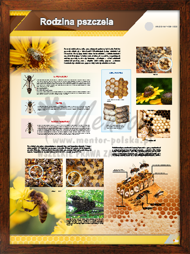 Tablica pszczelarska "Rodzina pszczela" w ramce