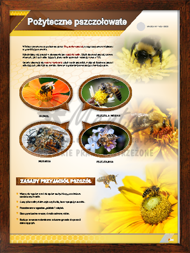 Tablica pszczelarska "Pożyteczne pszczołowate" w ramce
