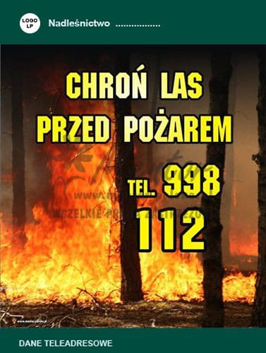 Tablica Chroń las przed pożarem (PP18)