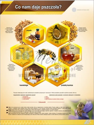 Tablica edukacyjna pszczelarska "Co nam daje pszczoła?"