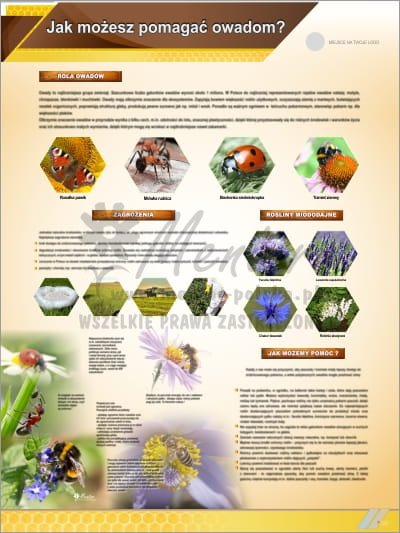 Tablica edukacyjna pszczelarska "Jak możesz pomagać owadom?"