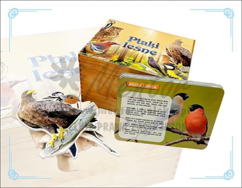 Ptaki - zestaw edukacyjny w skrzyni - wizualizacja poglądowa