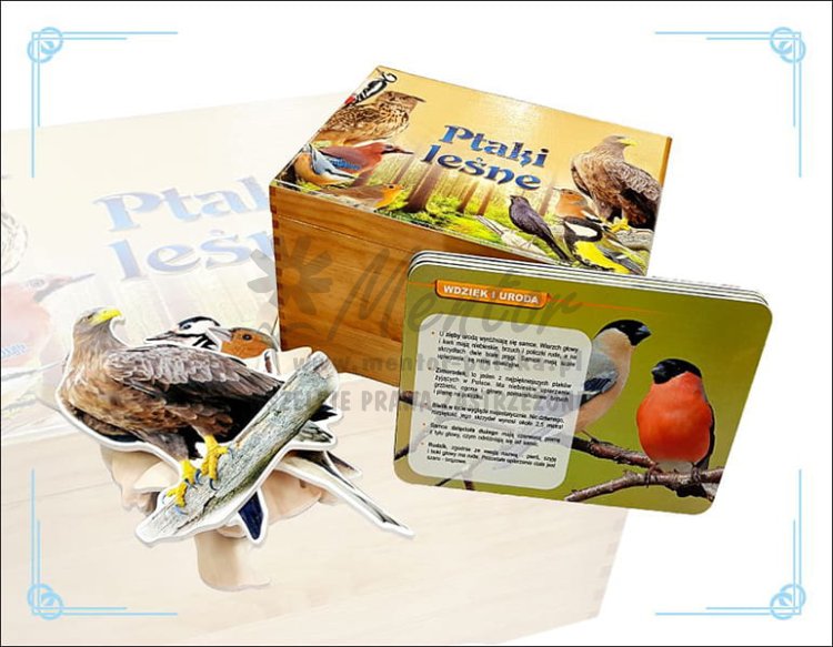 Ptaki - zestaw edukacyjny w skrzyni - wizualizacja poglądowa